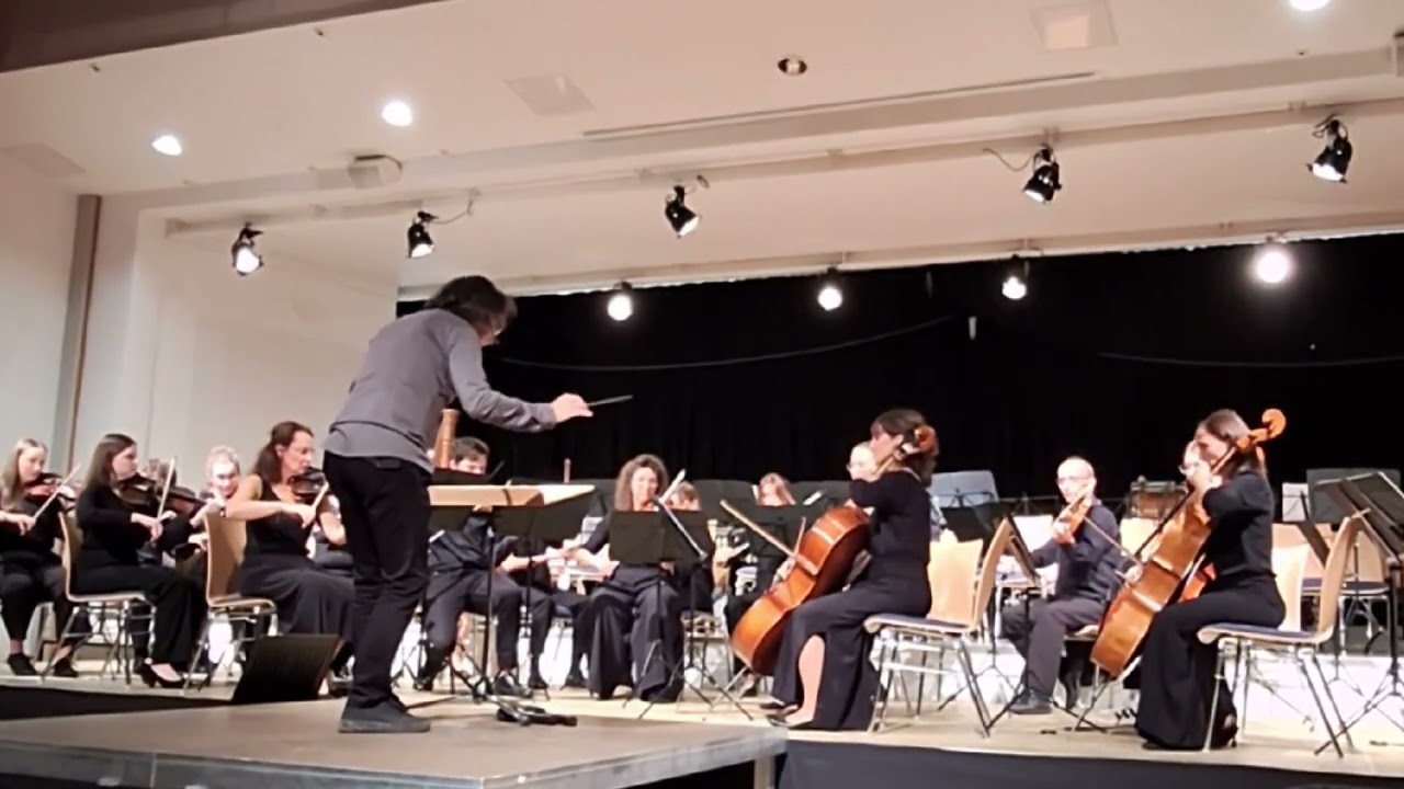 Arete - String Orchestra | Live Peformance at VAZ Fernitz