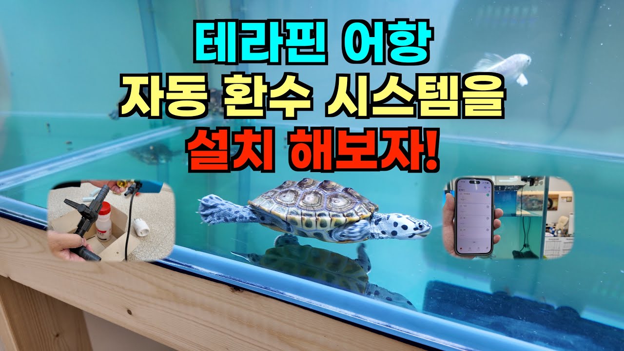 테라핀 어항 자동환수 시스템을 설치해보았습니다.
