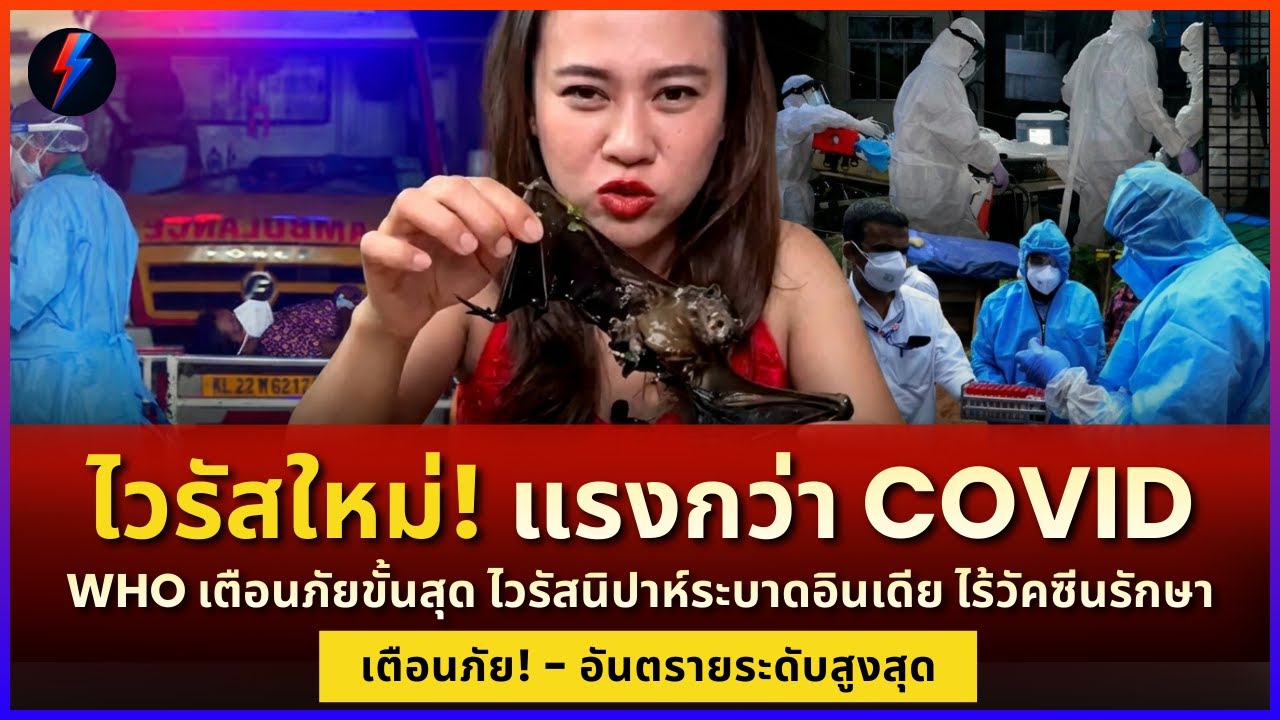 แรงกว่าโควิด! WHO ชี้ไวรัสนิปาห์พุ่ง 75% ลงปอดลามสมอง อินเดียกักตัววุ่น