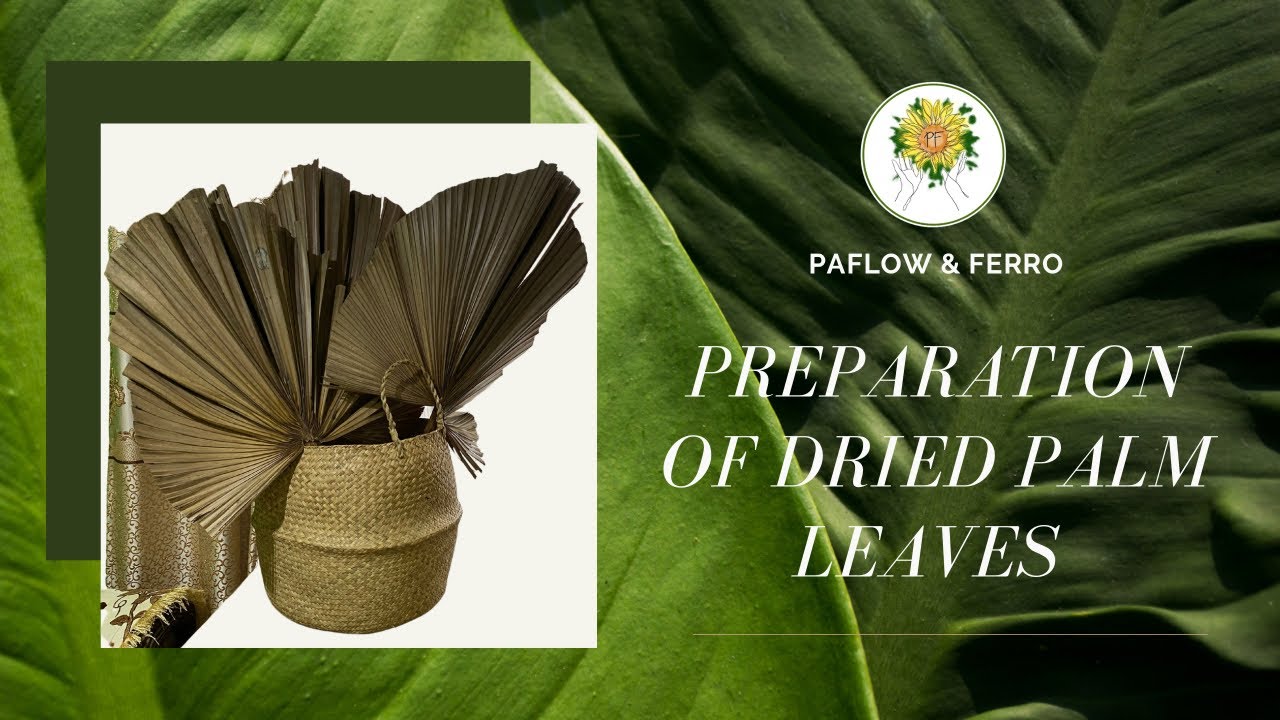 DIY Preparation of Dried Palm Leaves