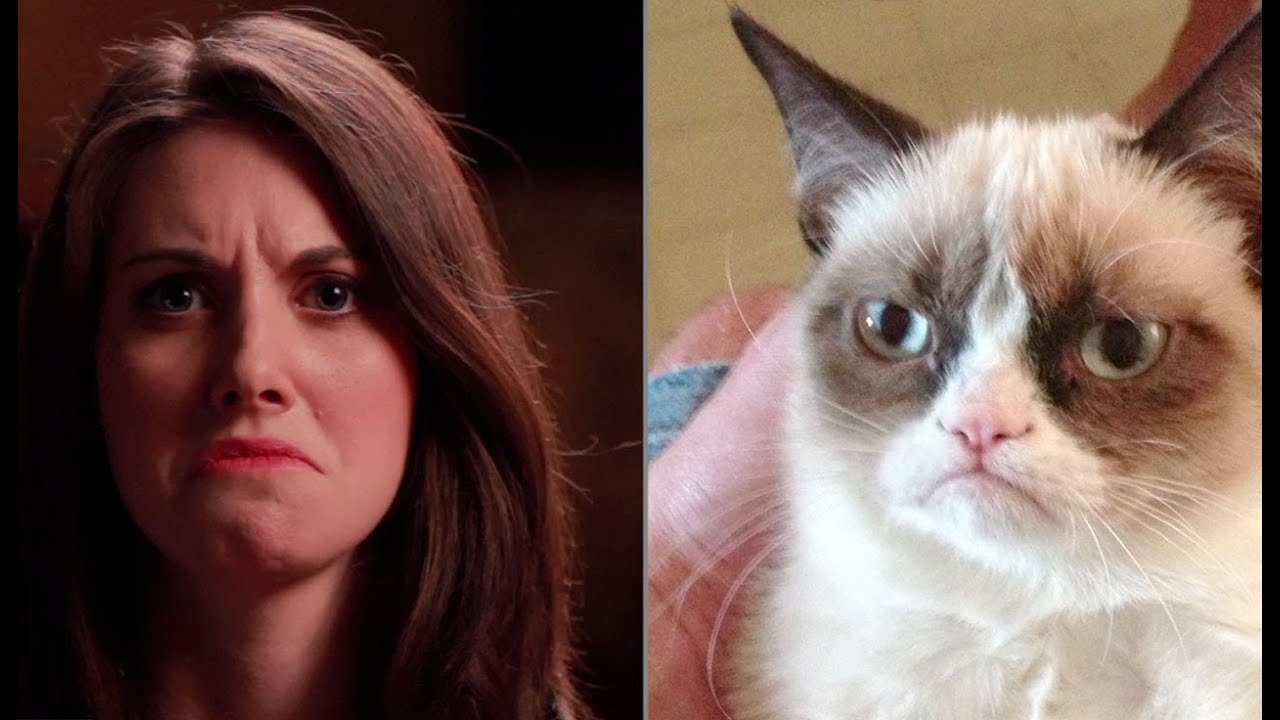 Alison Brie Imitates Popular Internet Memes - Speakeasy