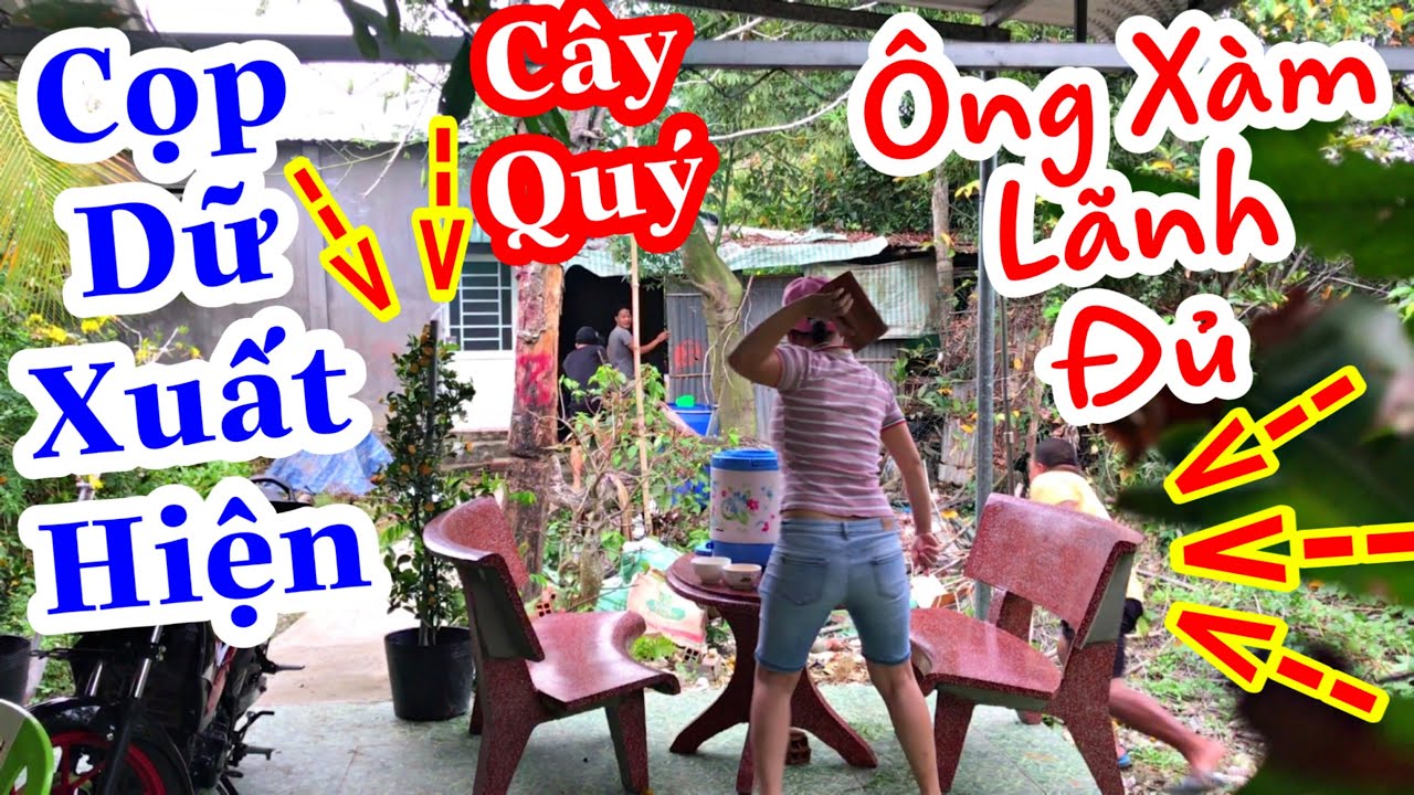 TXTV - Thánh Xàm Bị Đàn Em Đổ Tội Và Kết Quả Thánh Xàm Bị Bà Xàm Cho Ăn Gạch