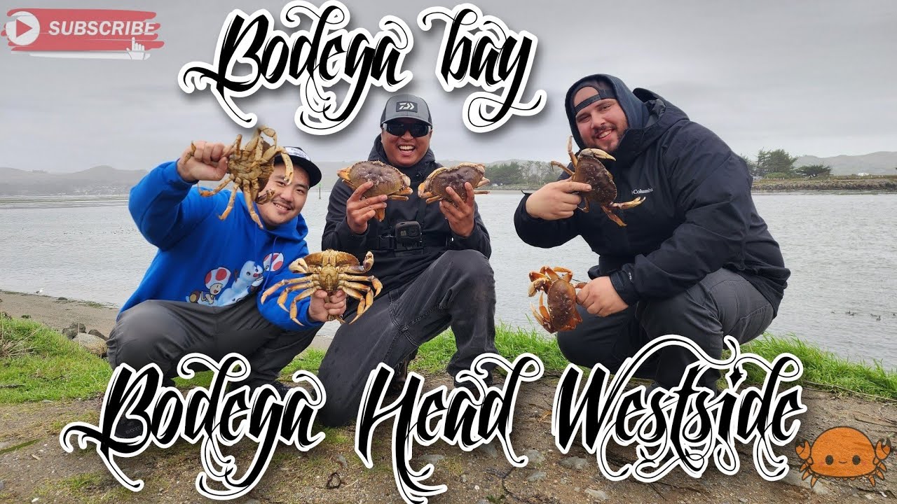 Bodega Bay, Crab Snaring On Bodega Head, Westside. [ A Awesome Way To Start The New Year! ]