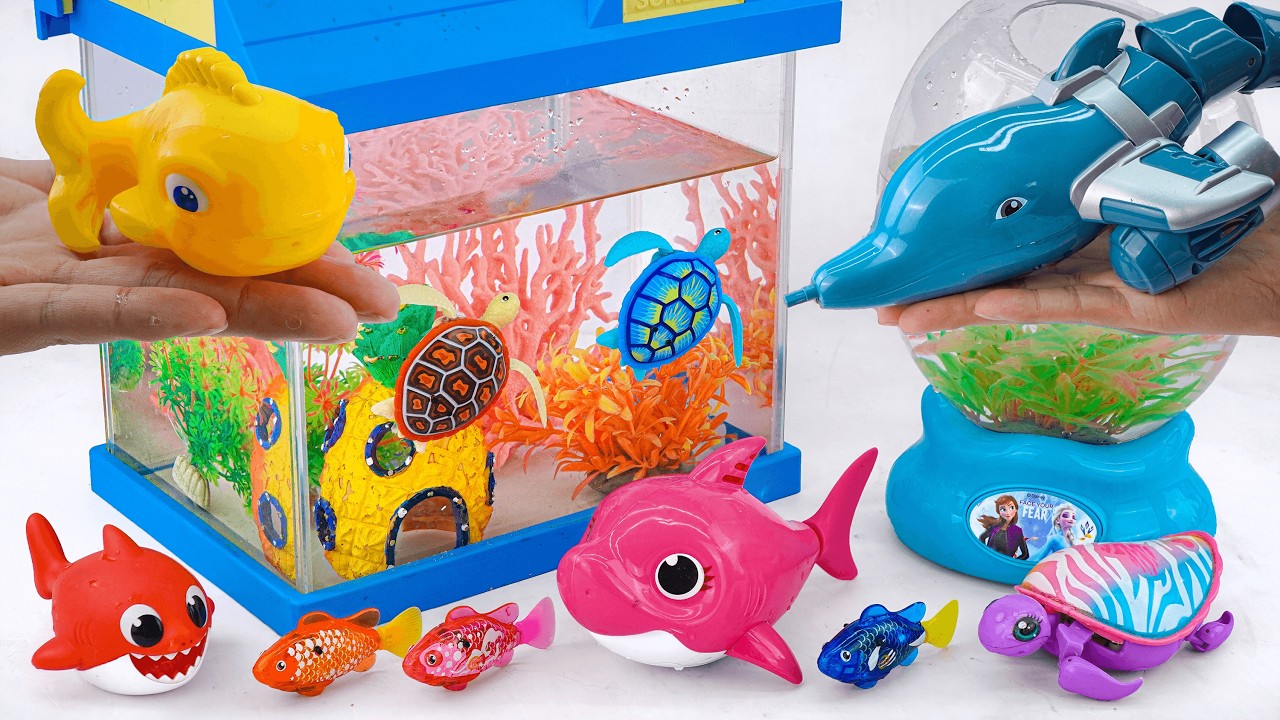 Toy asmr 🐋 ZC Aquatic Dolphin Boat + Zuru Robo Fish Aquarium Playset ASMR | Satisfying with Unboxing