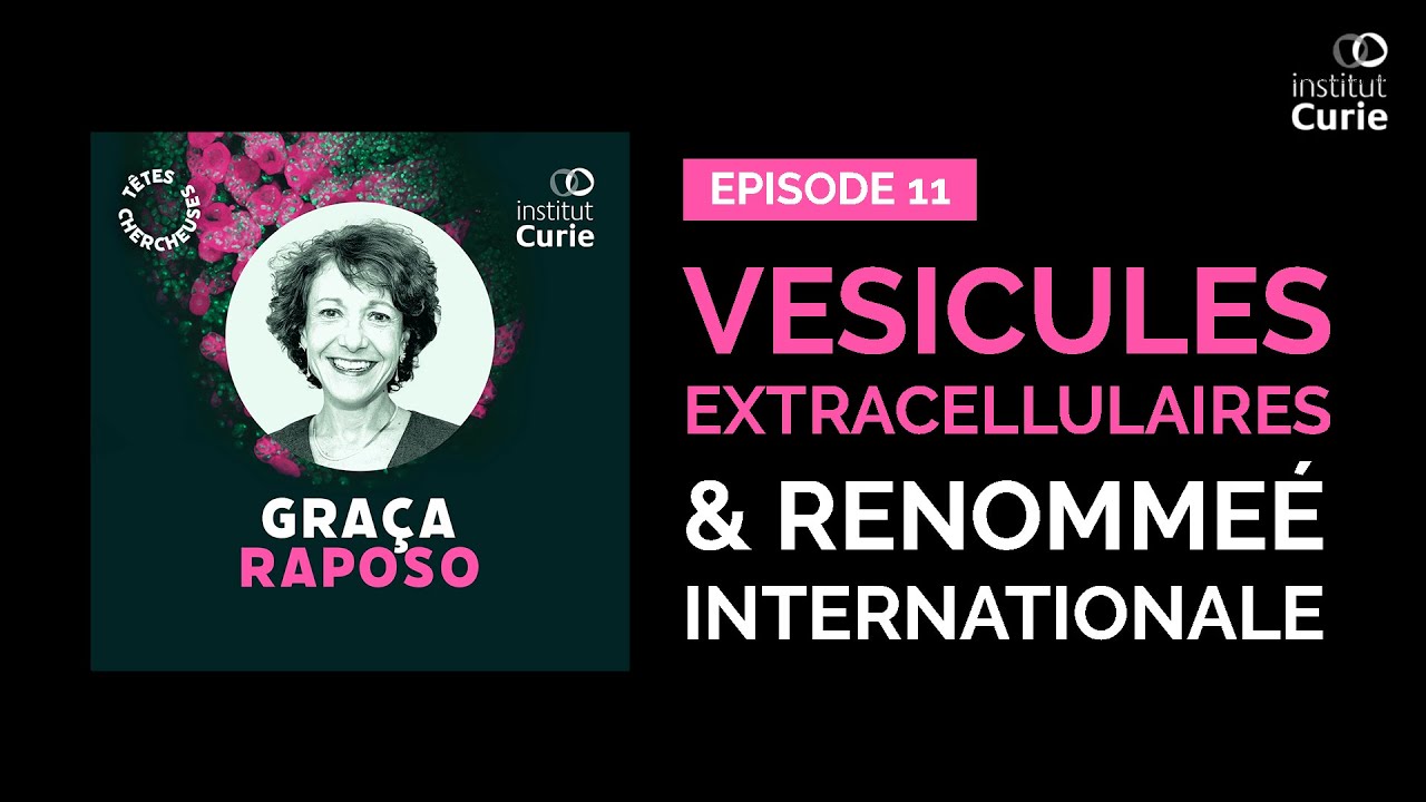 V&eacute;sicules extracellulaires et renomm&eacute;e internationale avec Gra&ccedil;a Raposo