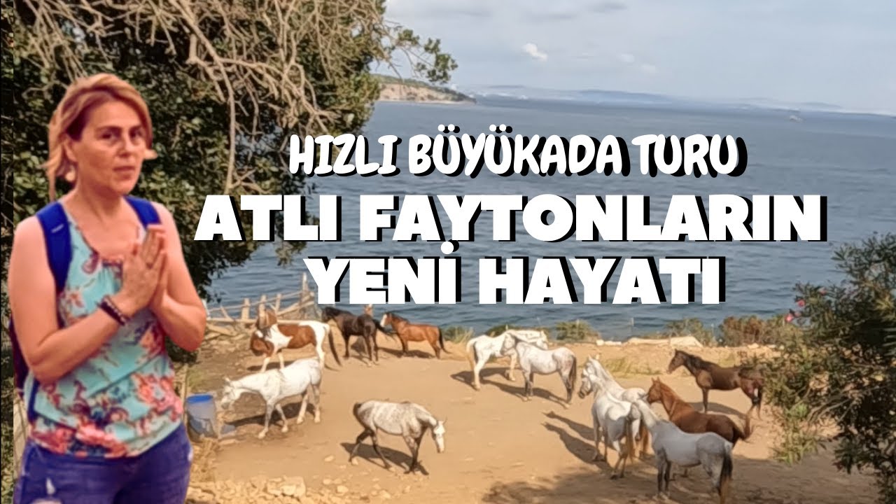 HIZLI BÜYÜKADA TURU- EMEKLİ ATLI FAYTONLAR ARTIK BURADA - AKÜLÜ ARAÇLA BAŞTAN SONA BÜYÜKADA.. GEZİ