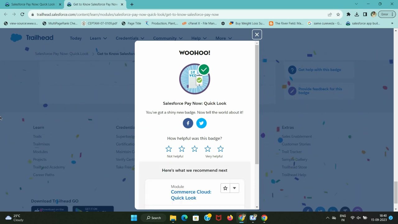 Get to Know Salesforce Pay Now | Salesforce Pay Now: Quick Look