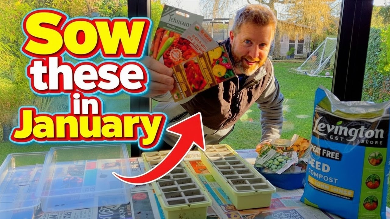 Посейте эти семена ПРЯМО СЕЙЧАС, пока не поздно! (UK Gardening)