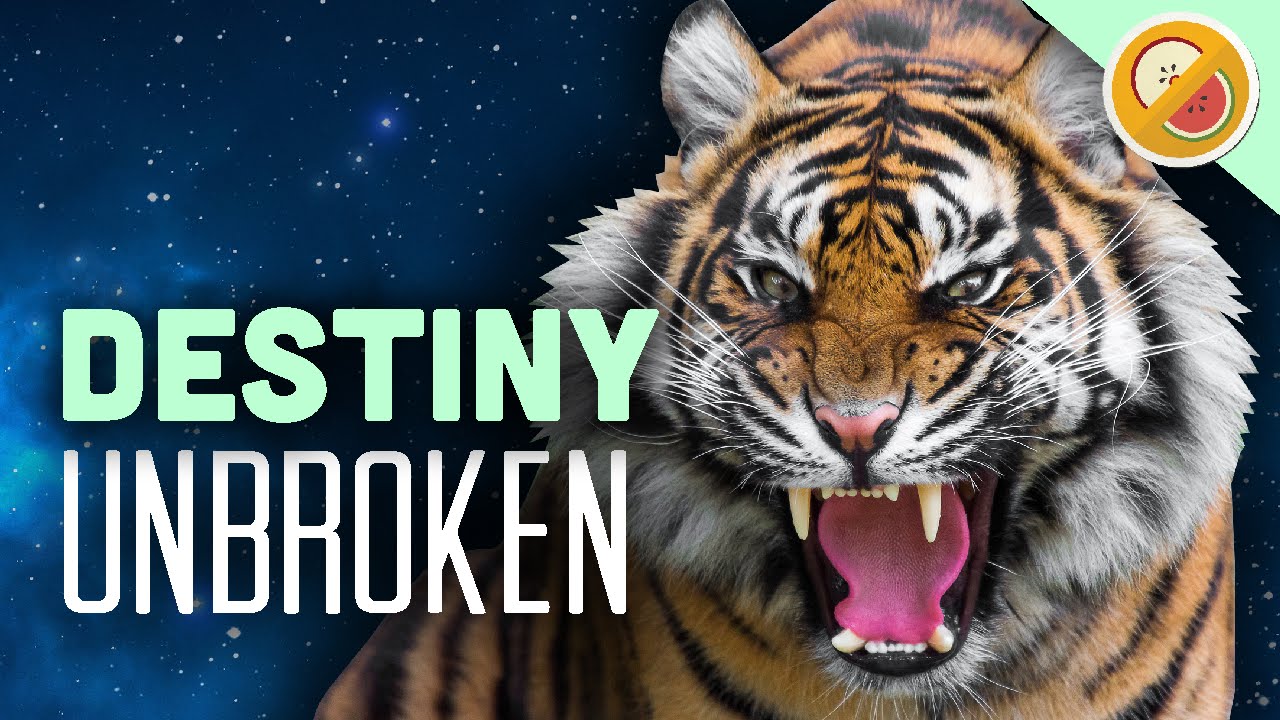 Destiny : Unbroken #1 (Montage) Hunter