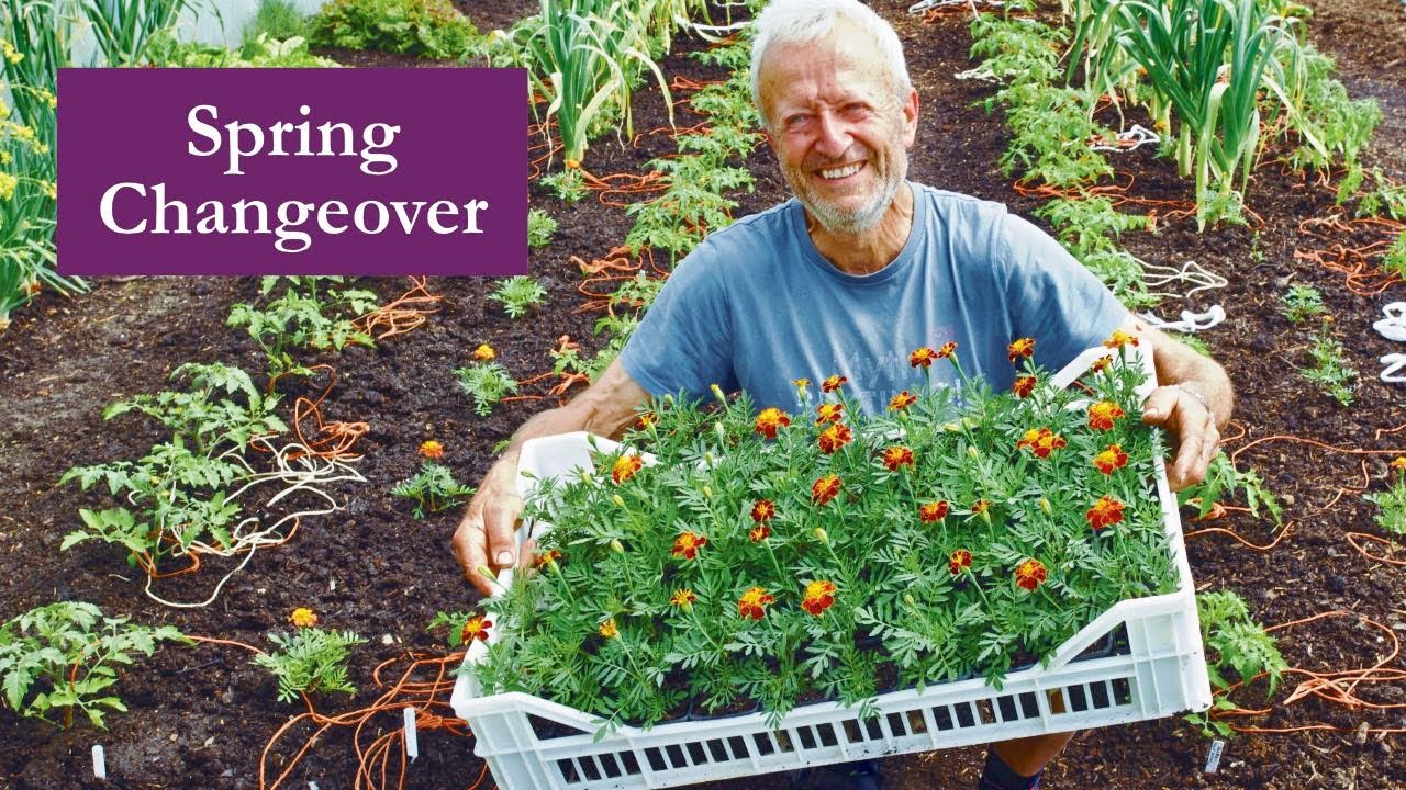 Polytunnel as summer begins – 2nd May