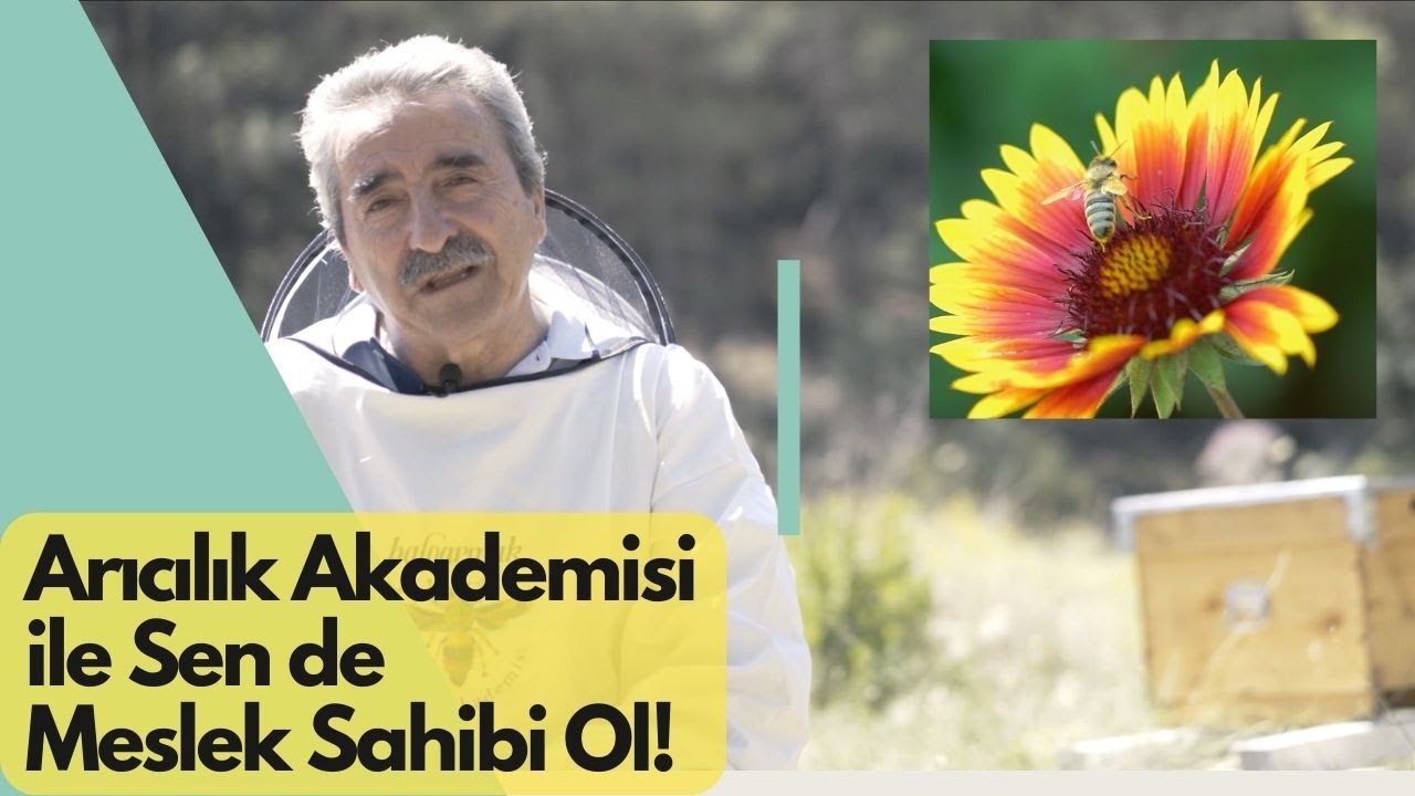 Станьте профессионалом вместе с Академией пчеловодства! Помните, если есть пчелы, есть будущее!