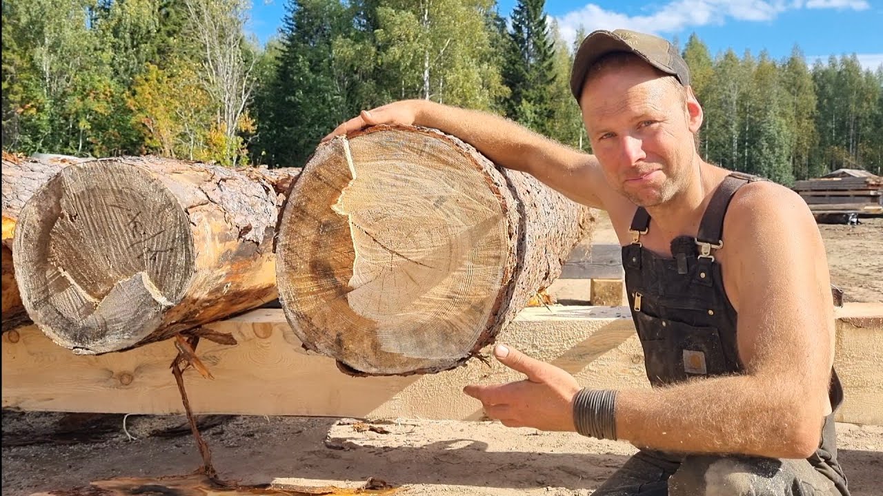 Timmersågning om Hösten. Första delen.
