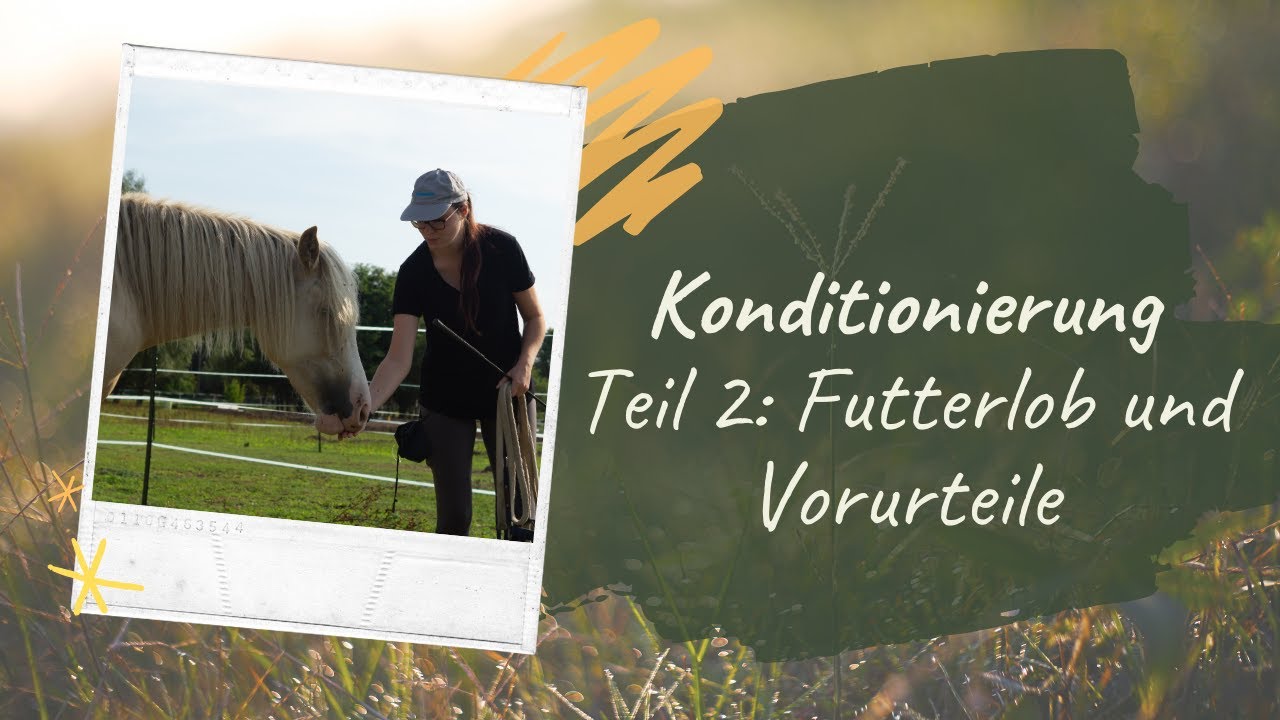 KONDITIONIERUNG: Teil 2 - Futterlob und Vorurteile