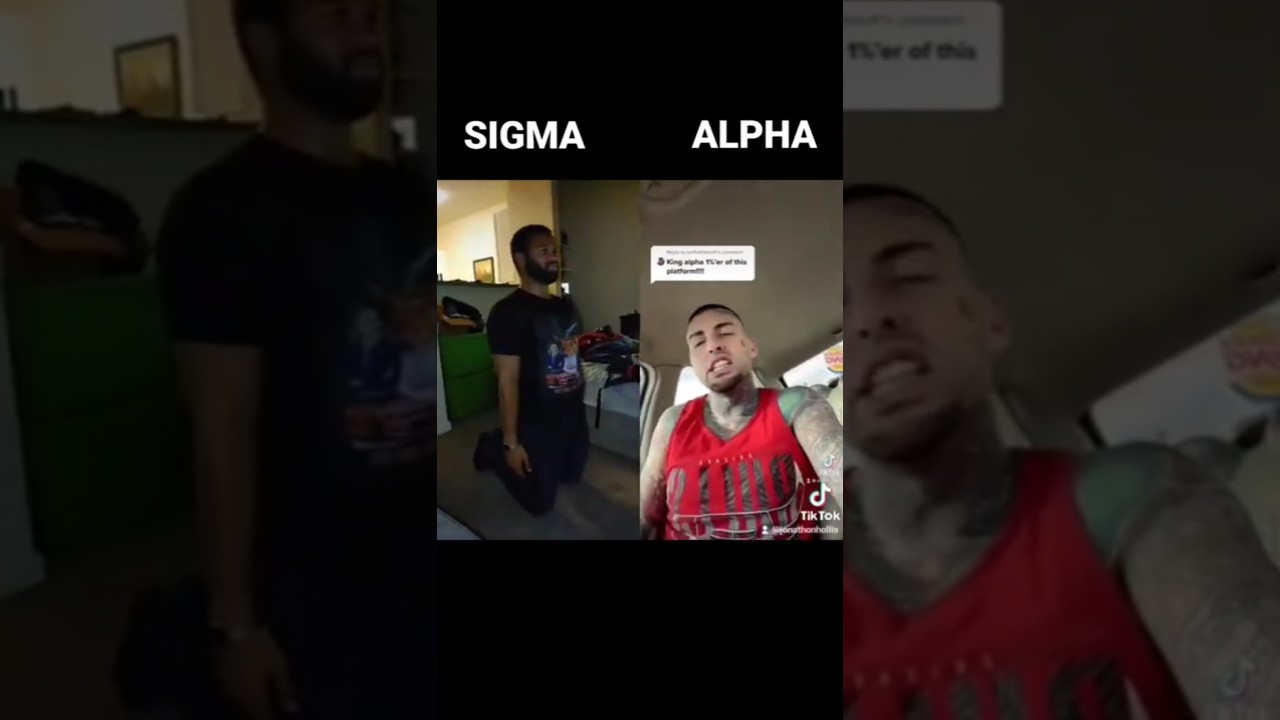 Sigma Male VS Alpha Male