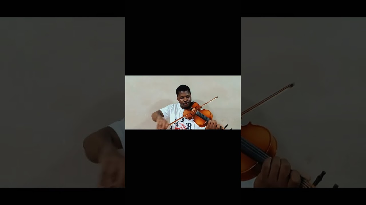 CANON in D🎻