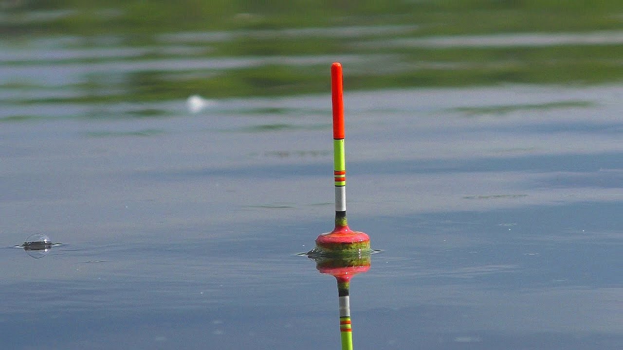 Караси и щуки топят поплавки. Рыбалка на поплавочные удочки. My fishing