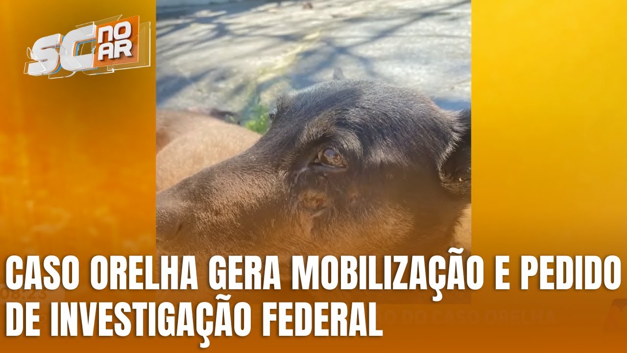 Mobilização pede federalização do Caso Orelha após repercussão nacional