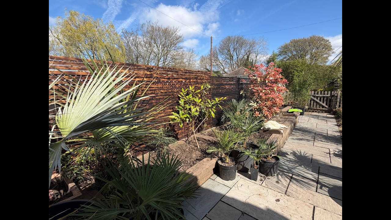 NEW Tropical Exotic Garden Bed - Major Progress