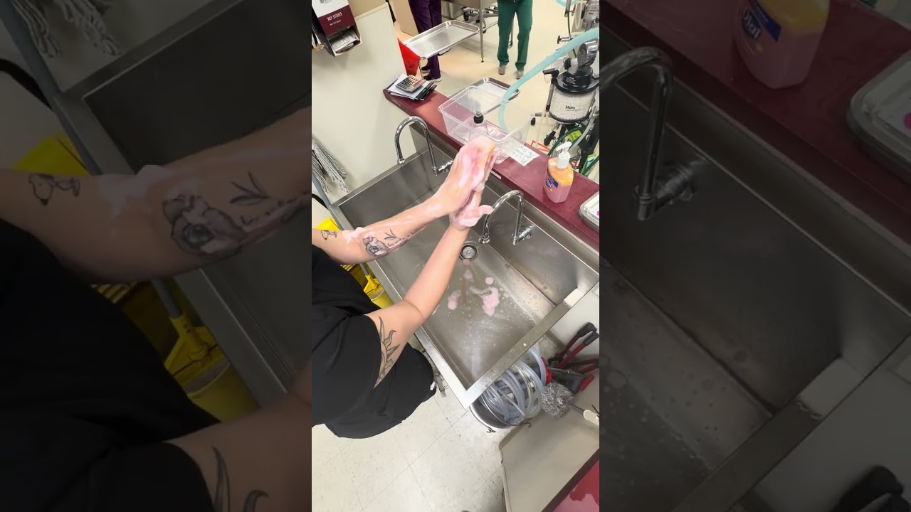 Pennfoster Externship 2 Skill #5 scrubbing in video 
