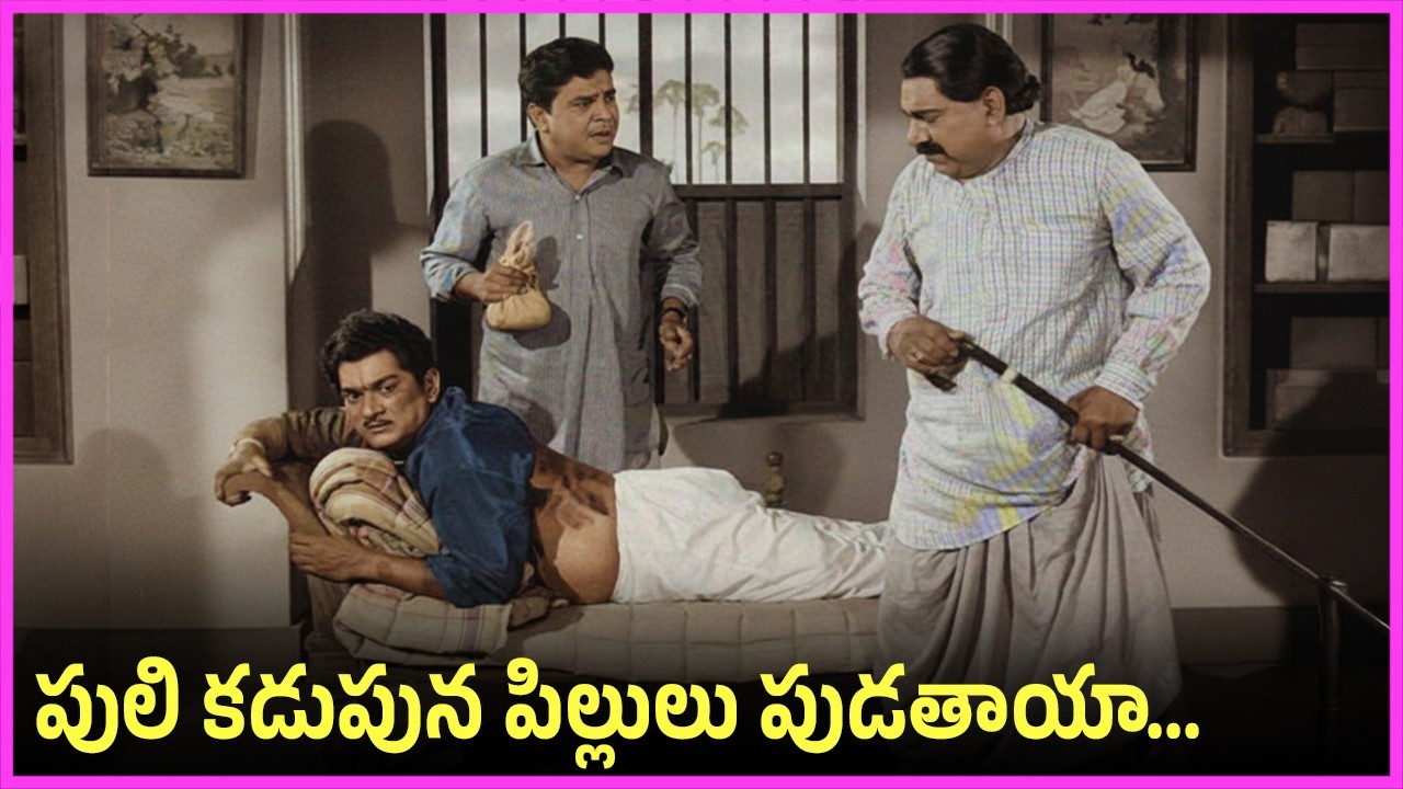 పులి కడుపున పిల్లులు పుడతాయా - Padmanabham, Relangi, Rajanala Ultimate Comedy Scenes