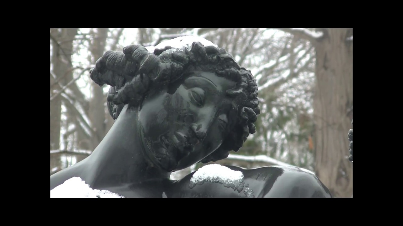 History of Shaw and the Botanical Gardens