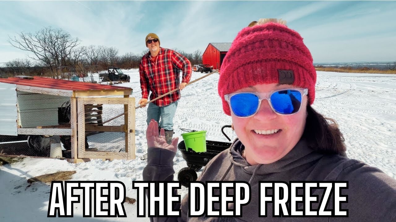 Farm Chores After the Deep Freeze | Cleaning Ultimate Brooders & Winter Recovery