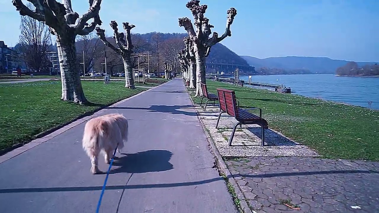 Unterwegs mit Charly & Michael 20 03 2026 mp4