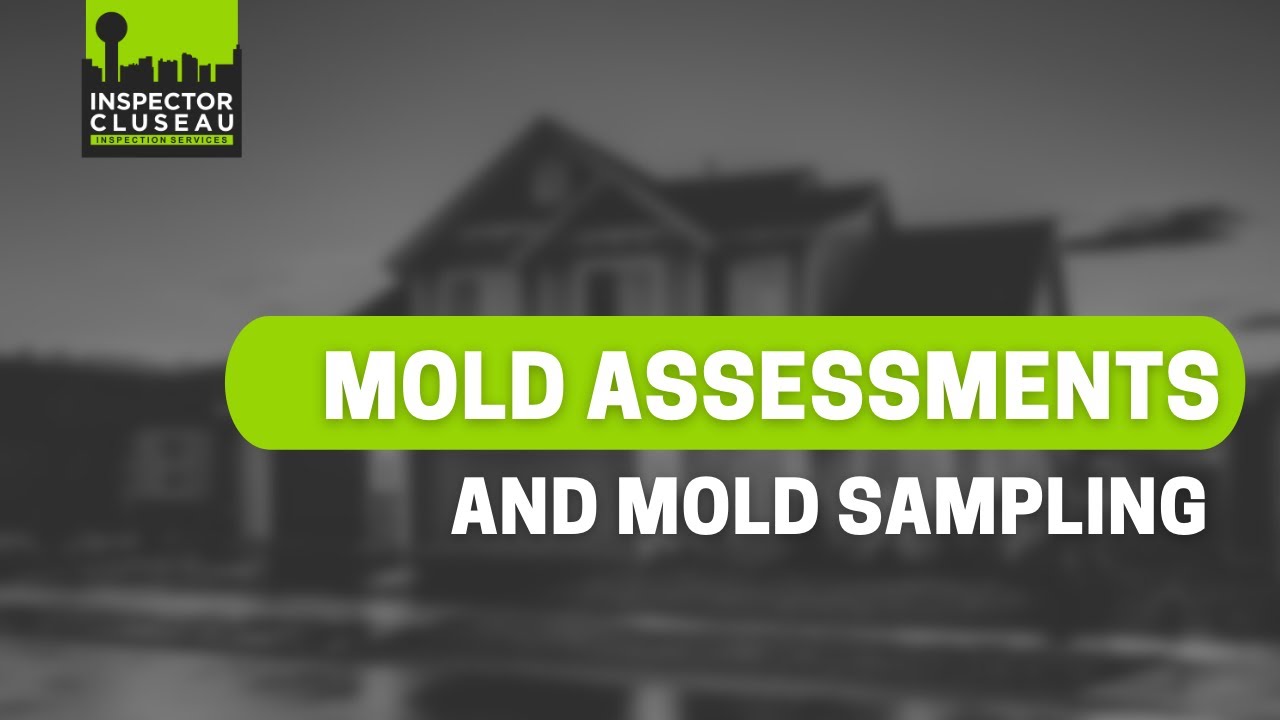 Mold Assessment and Mold Sampling