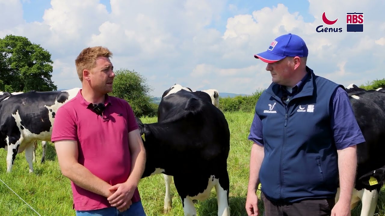 Building a high-performance herd with genomics | Tom Blecher&rsquo;s breeding strategy