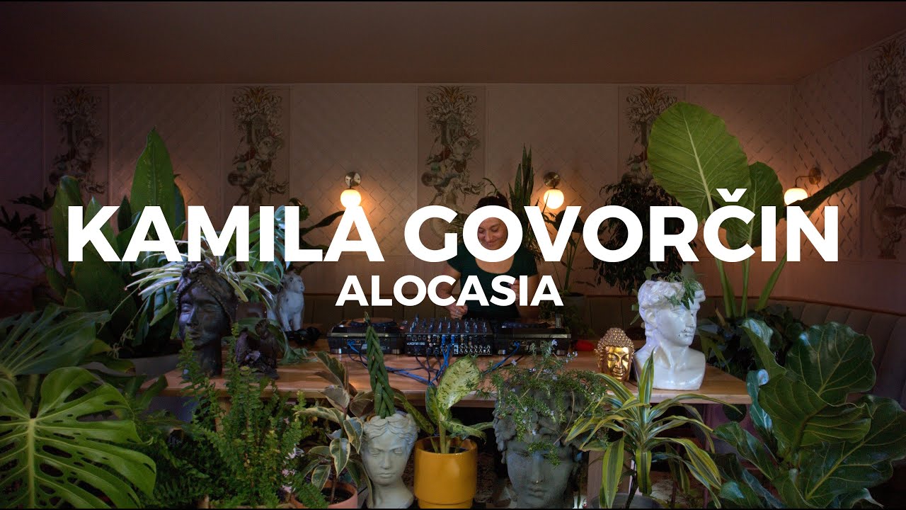 From house to techno a journey by Kami Govorčin at Casa Sanz - Alocasia TV Chile