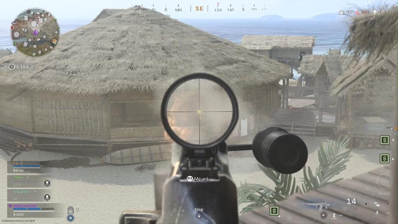 Warzone Pacific BAR + M1 Garand (PING)