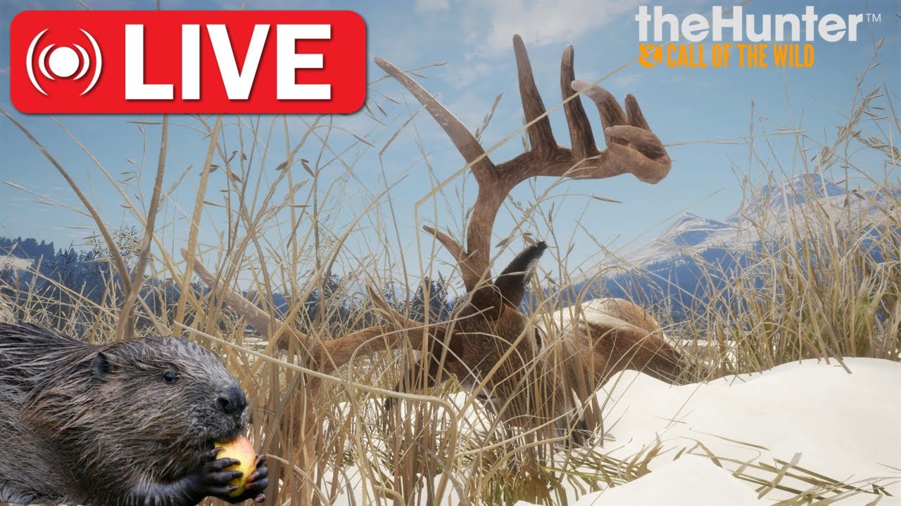 Trophy Hunting in Alberta! Call of the Wild