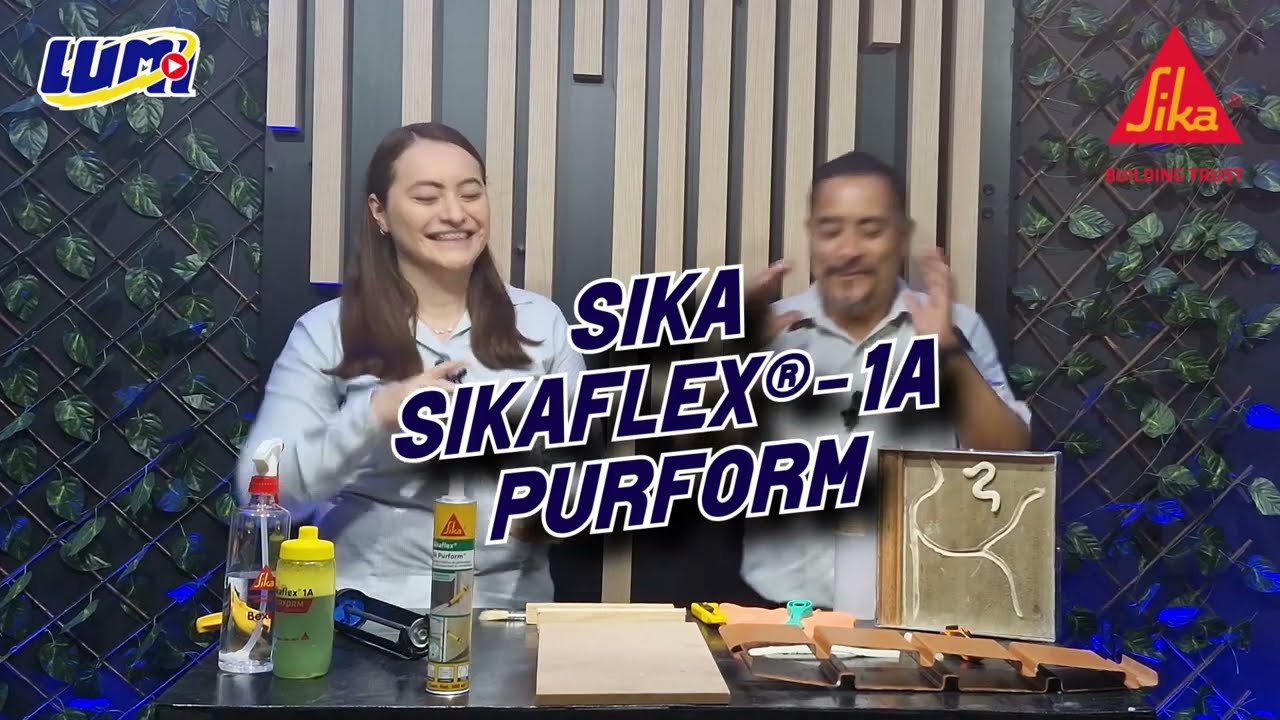 Conoce todo acerca de Sikaflex 1A Purform