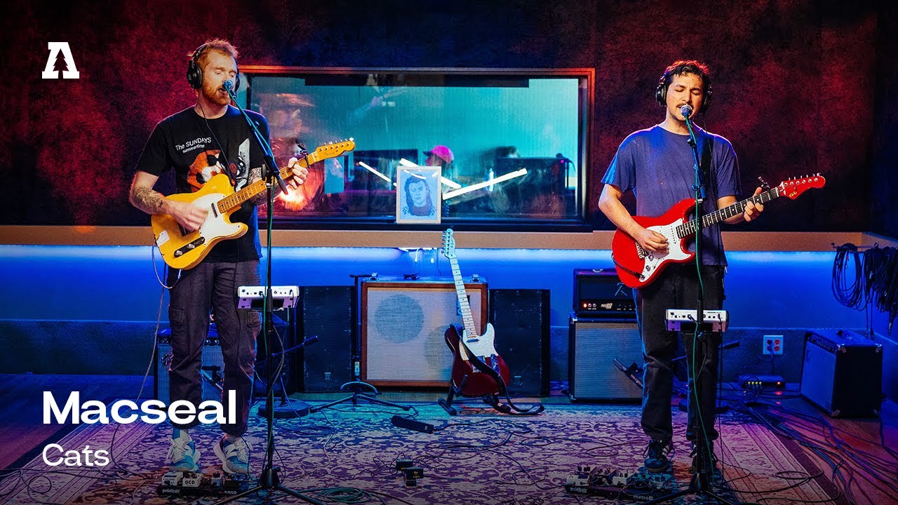 Macseal - Cats | Audiotree Live