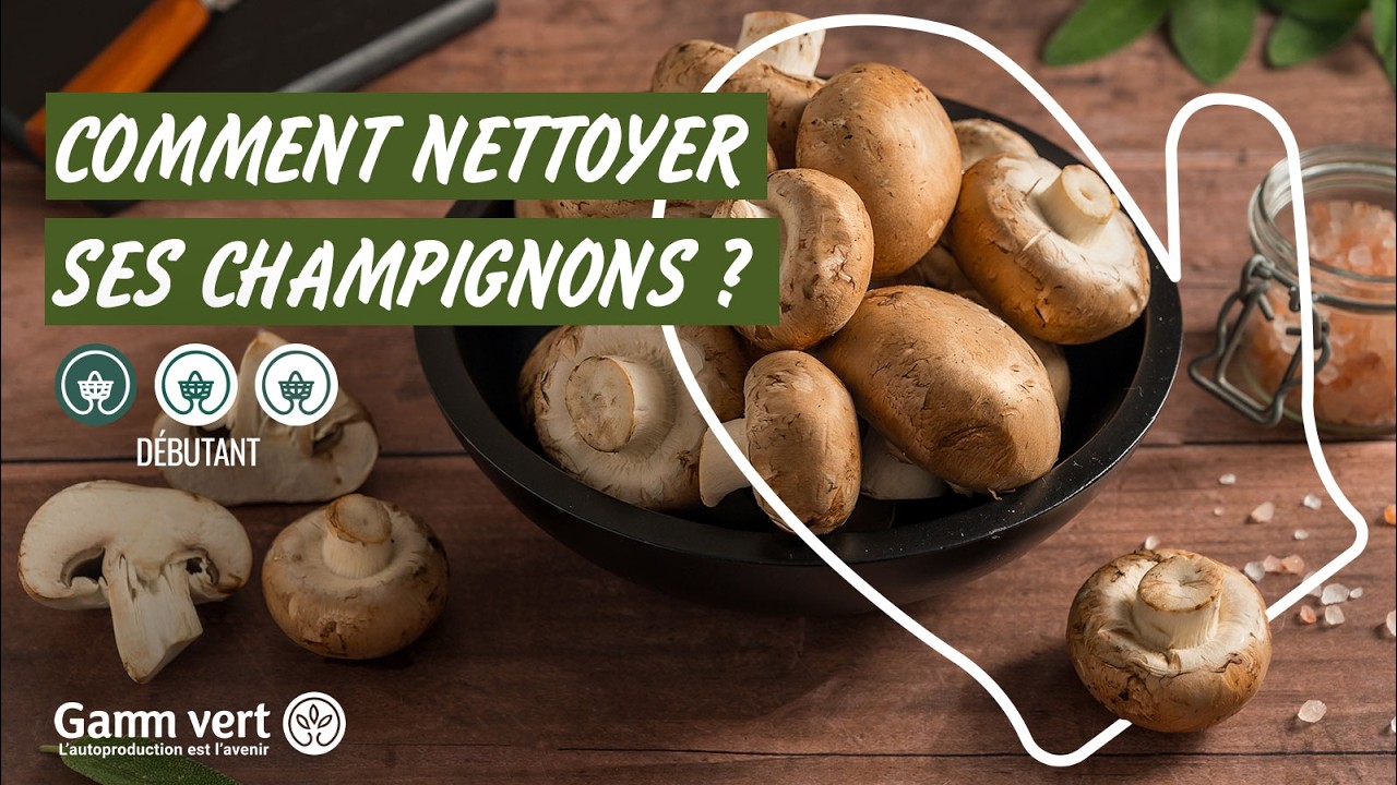 Tuto - Comment nettoyer les champignons ?