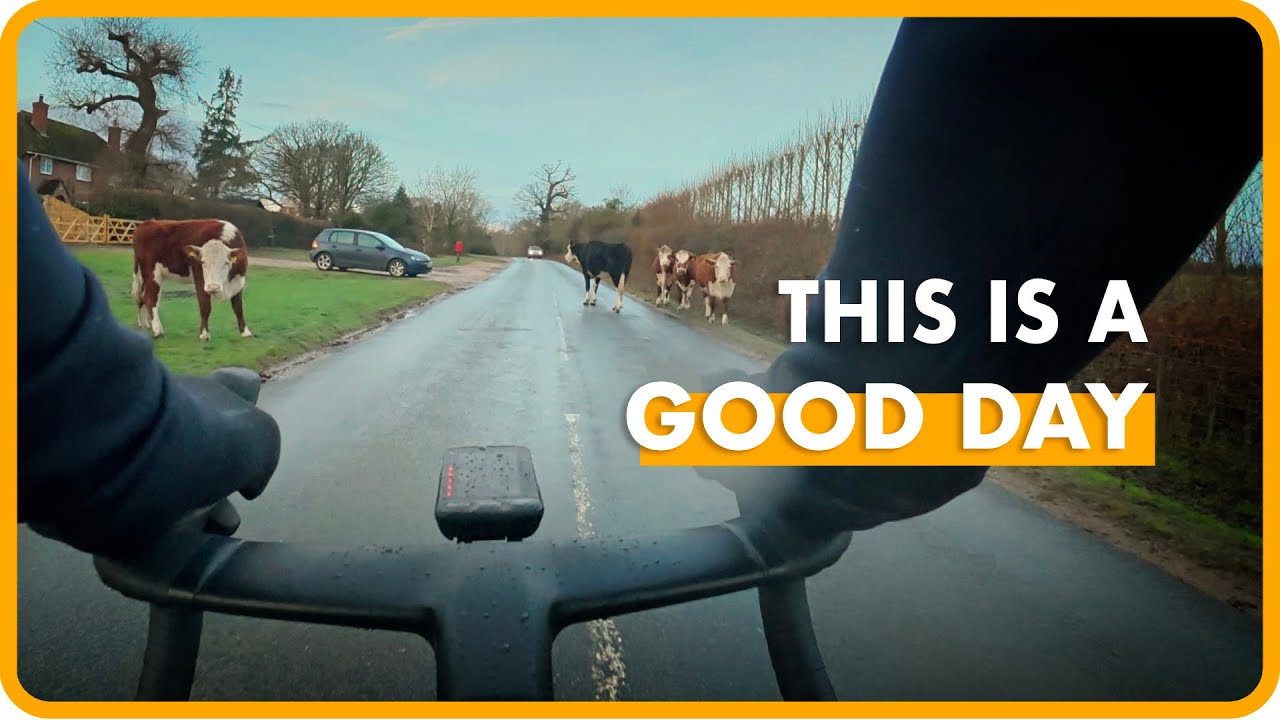 Today Is A Good Day | Quietly Recalibrating Life | Weight Loss & Retirement | Trainer Ride Along POV