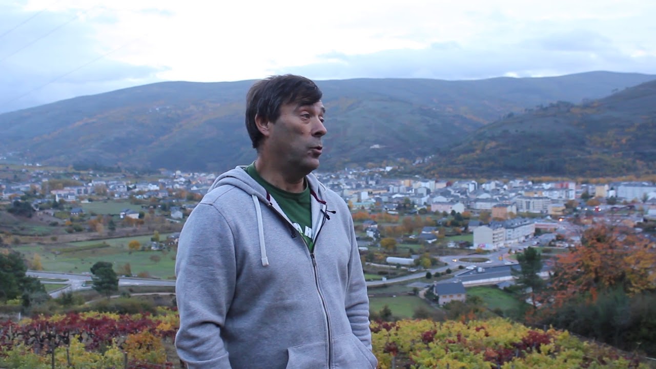 Canto custa ser viticultor non profesional?