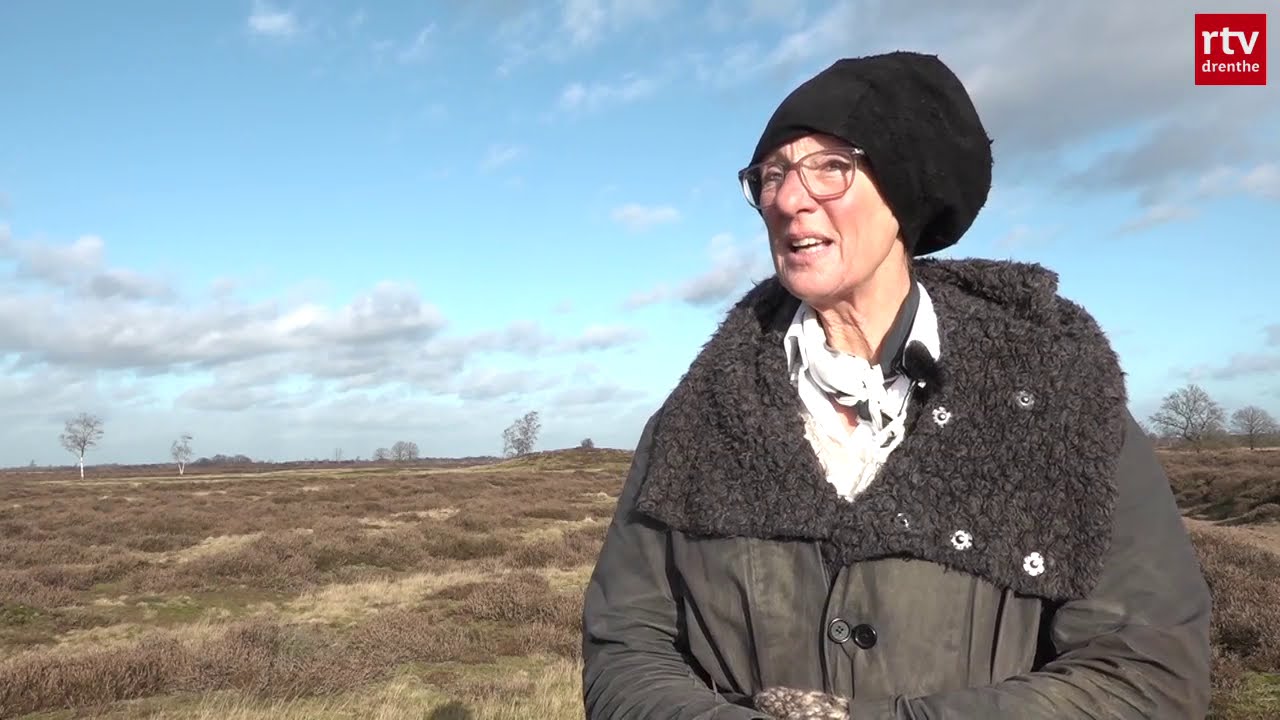 Hond van de schaapskudde Balloërveld doelbewust aangevallen door andere hond