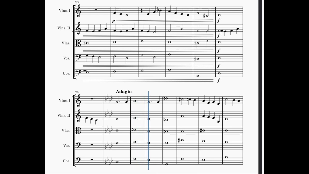 String Orchestra