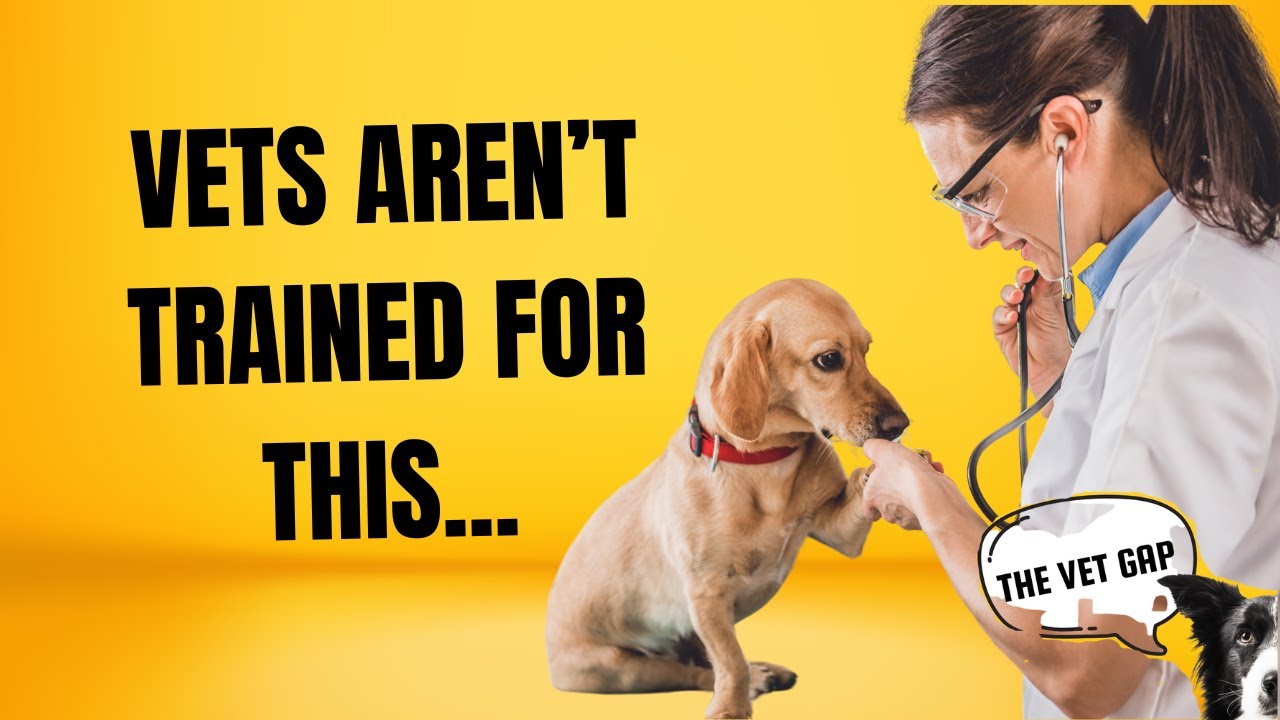 ...STORY BEHIND YOUR DOG'S HEALTH / THE VET GAP