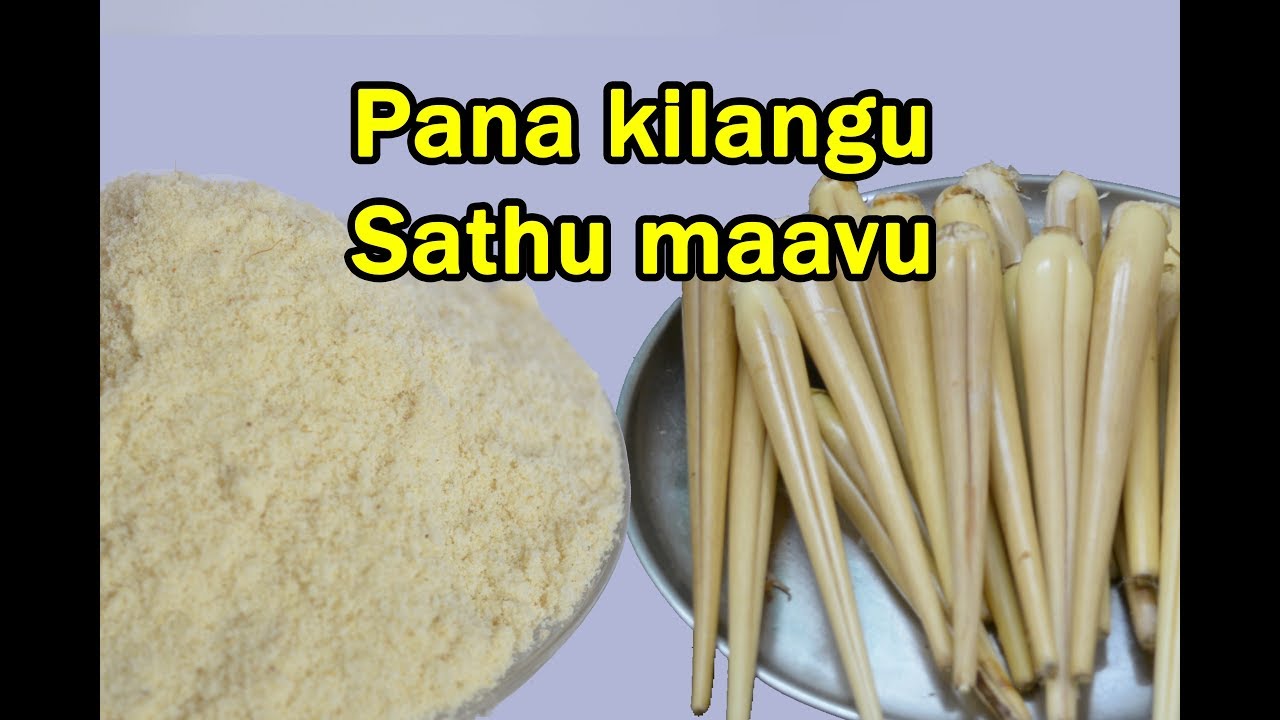 பனங்கிழங்கு சத்துகஞ்சி மாவு | Palmyra sprout Energy powder | Healthy Recipe