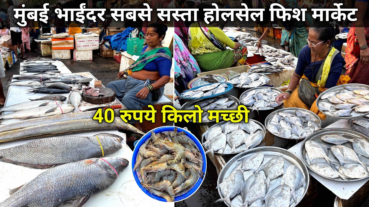 Mumbai Bhayandar Fish Market | Bhayandar Fish Market Wholesale | Mumbai Mira Bhayandar Fish Market