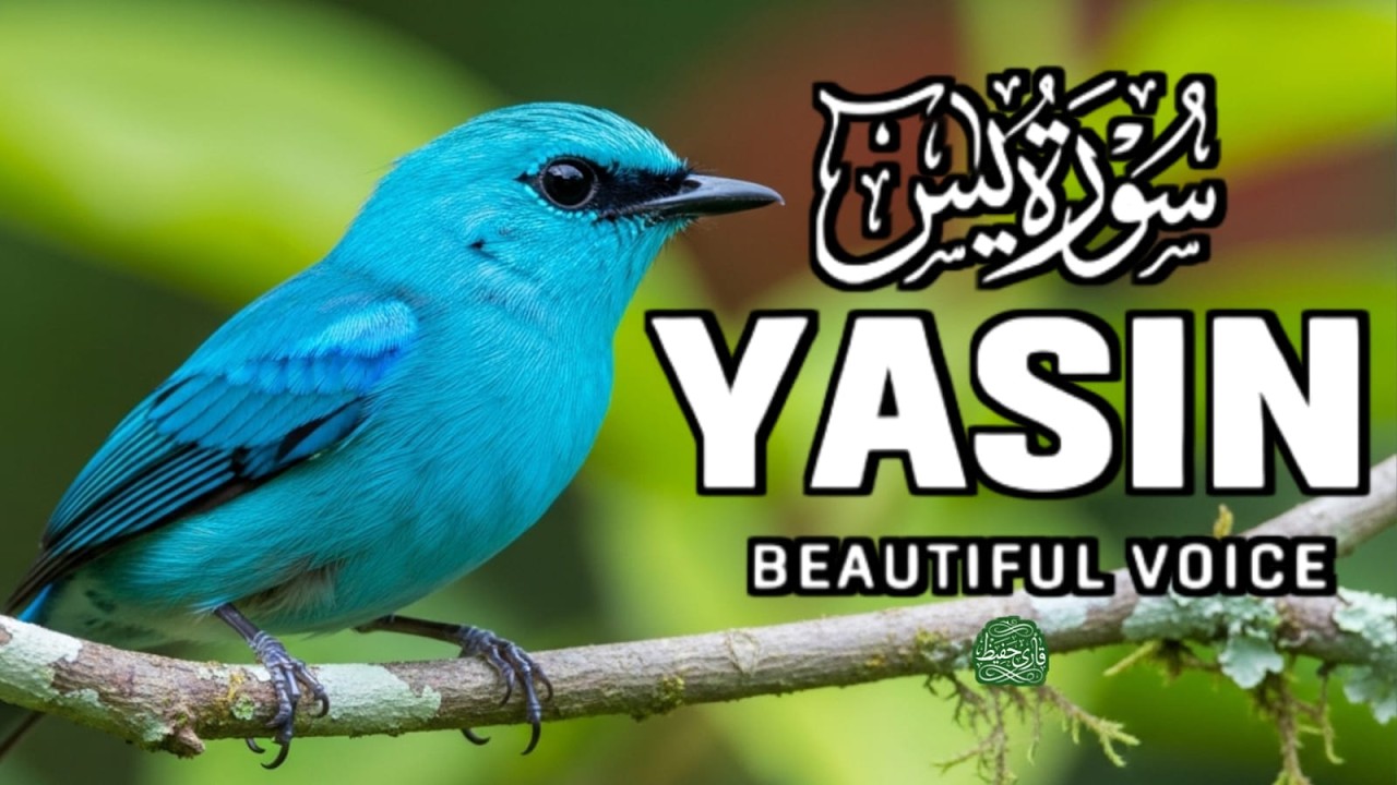Surah Yaseen (Yasin) سورة يس | Soothing Quran Recitation for Comfort, Mercy & Divine ProtectionEP=20