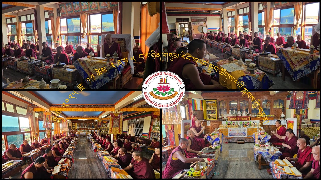 ཕྱི་ལོ་ ༢༠༢༥ ཟླ་ ༡༡ ཚེས་ ༣ ནས ༥ བར་ཉིན་གསུམ་རིང་གཡང་སྒྲུབ་ཚོགས་པའི་སྐབས་ཀྱི་བརྙན། #peace #prayer 🙏🏻