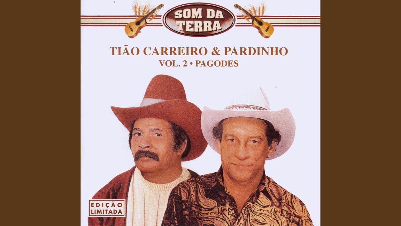 Pagode em Brasília