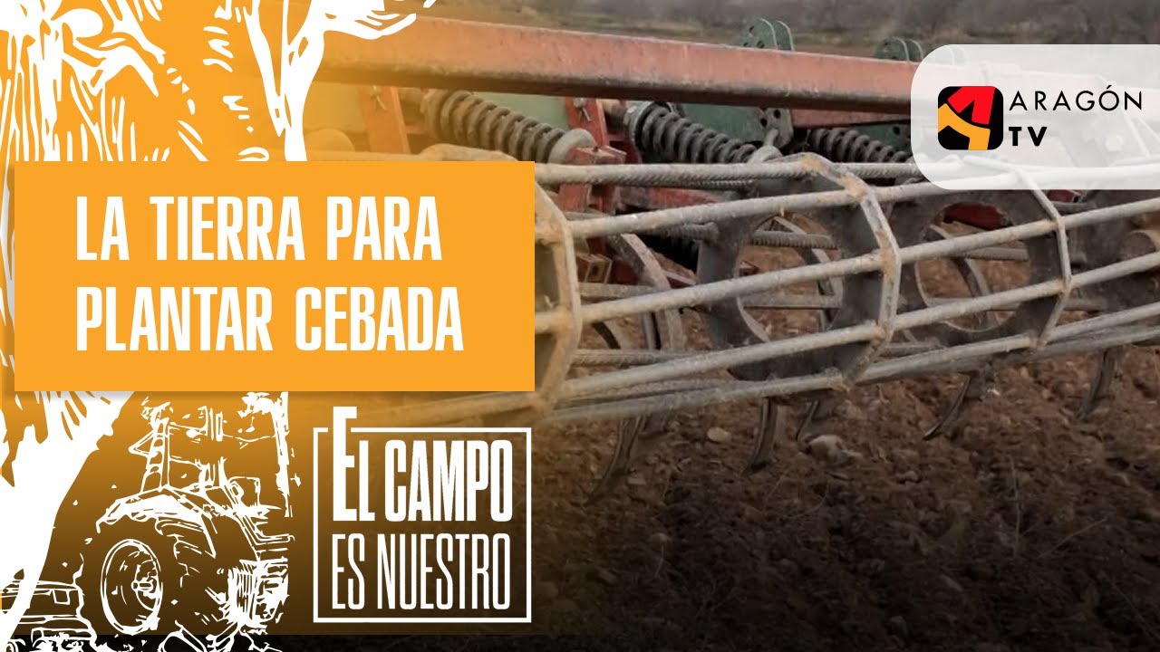 Preparando la tierra para plantar cebada
