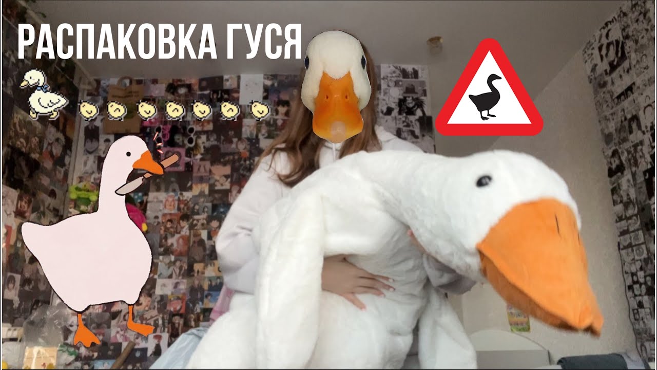 Распаковка гуся с озон