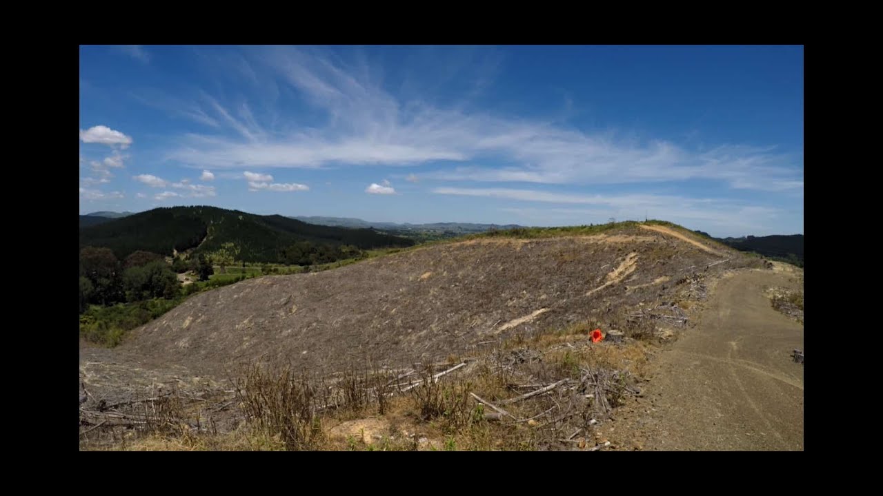 Maramarua Forest Ride