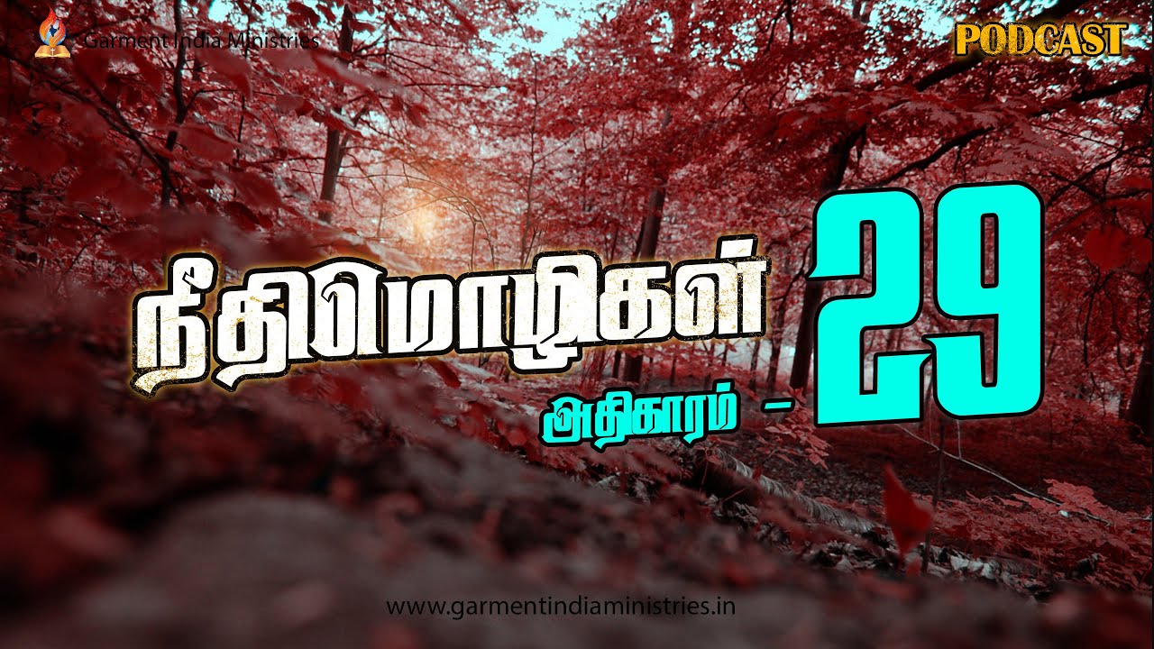 Proverbs chapter 28 | நீதிமொழிகள் - 28ம் அதிகாரம்  | A brief explanation | #Podcast