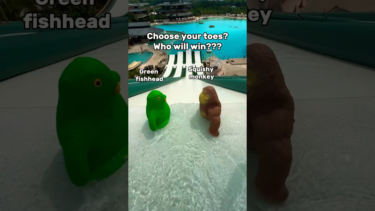 Monkey vs Fish: The Squishy Showdown